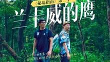 黎明守卫者