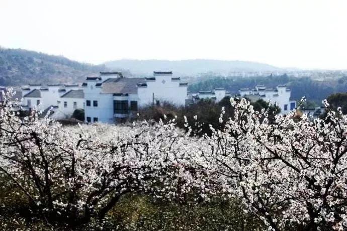 保持大局