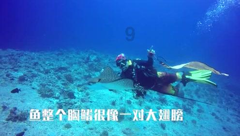 地球防卫军4.1