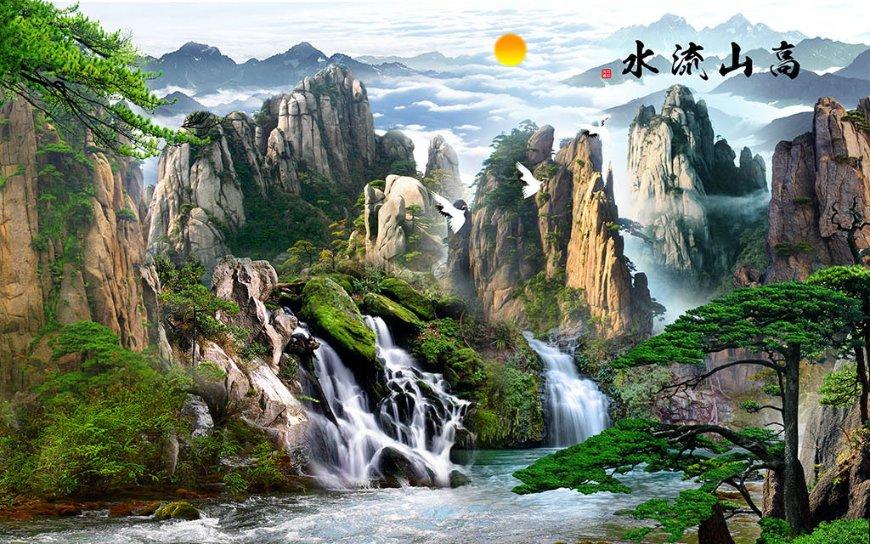 救援医学院学生